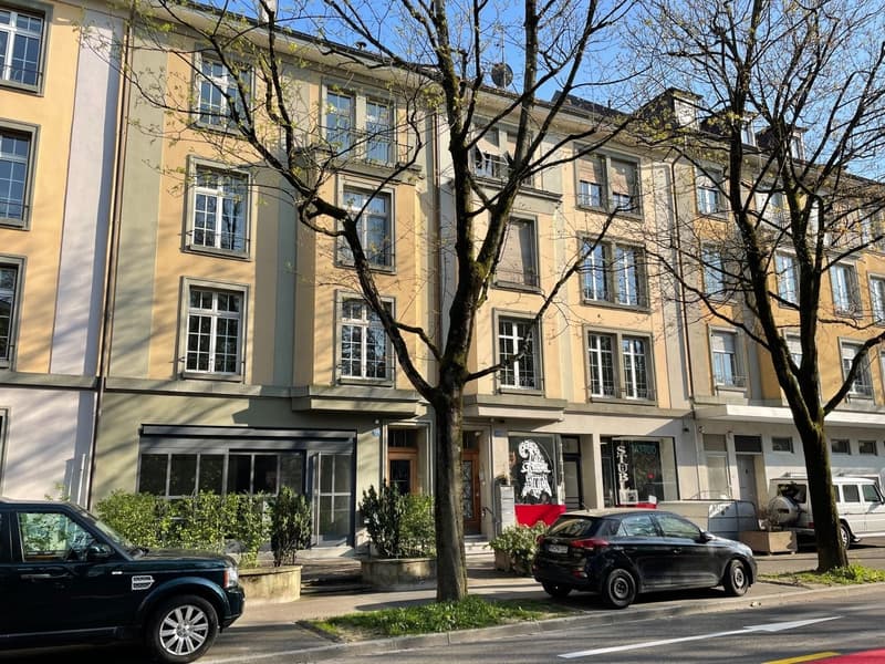 Gemütliche Dachwohnung im Gellert (1)