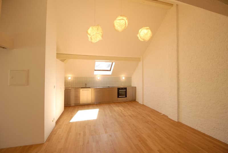 Gemütliche Dachwohnung im Gellert (4)