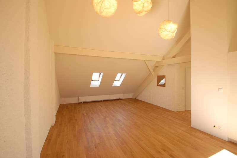 Gemütliche Dachwohnung im Gellert (2)