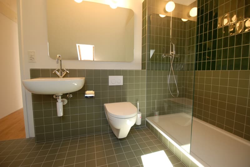 Gemütliche Dachwohnung im Gellert (9)