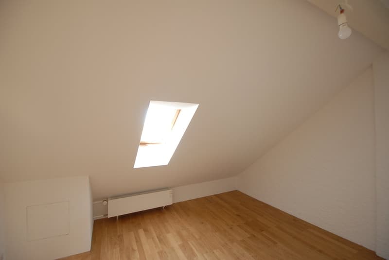 Gemütliche Dachwohnung im Gellert (6)
