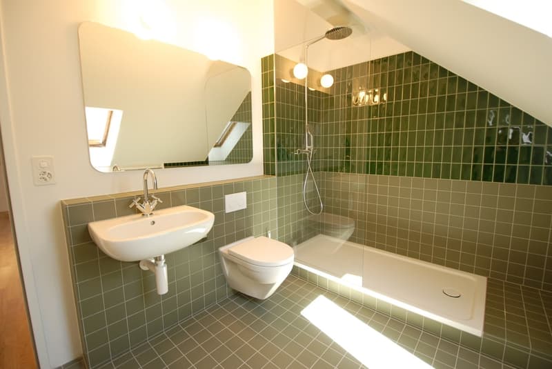 Gemütliche Dachwohnung im Gellert (8)
