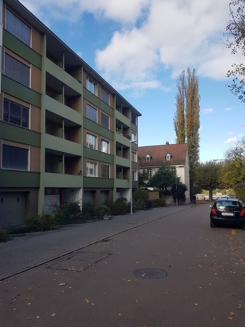 Ruhige 3-Zimmer-Wohnung im Breitequartier in Basel zu vermieten (1)