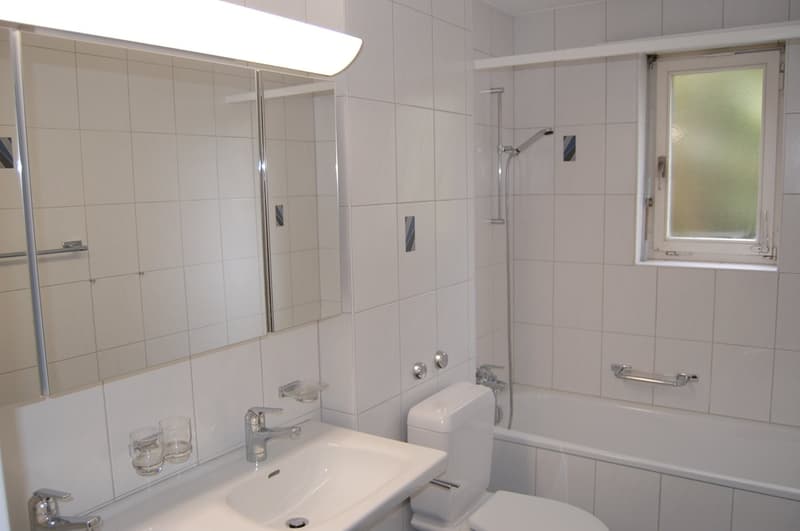 Schöne 4 Zimmerwohnung an exklusiver Lage befristet für zwei Jahre (3)