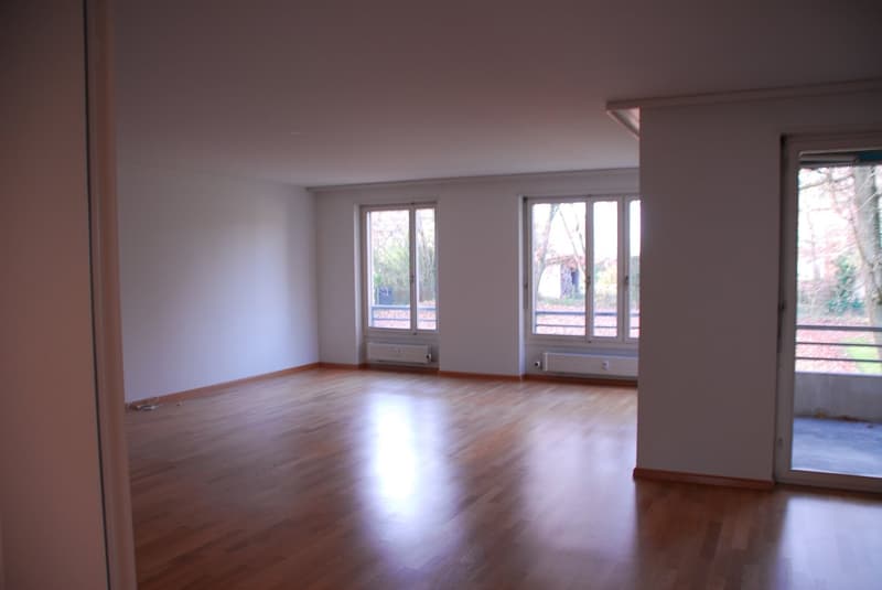 Schöne 4 Zimmerwohnung an exklusiver Lage befristet für zwei Jahre (6)