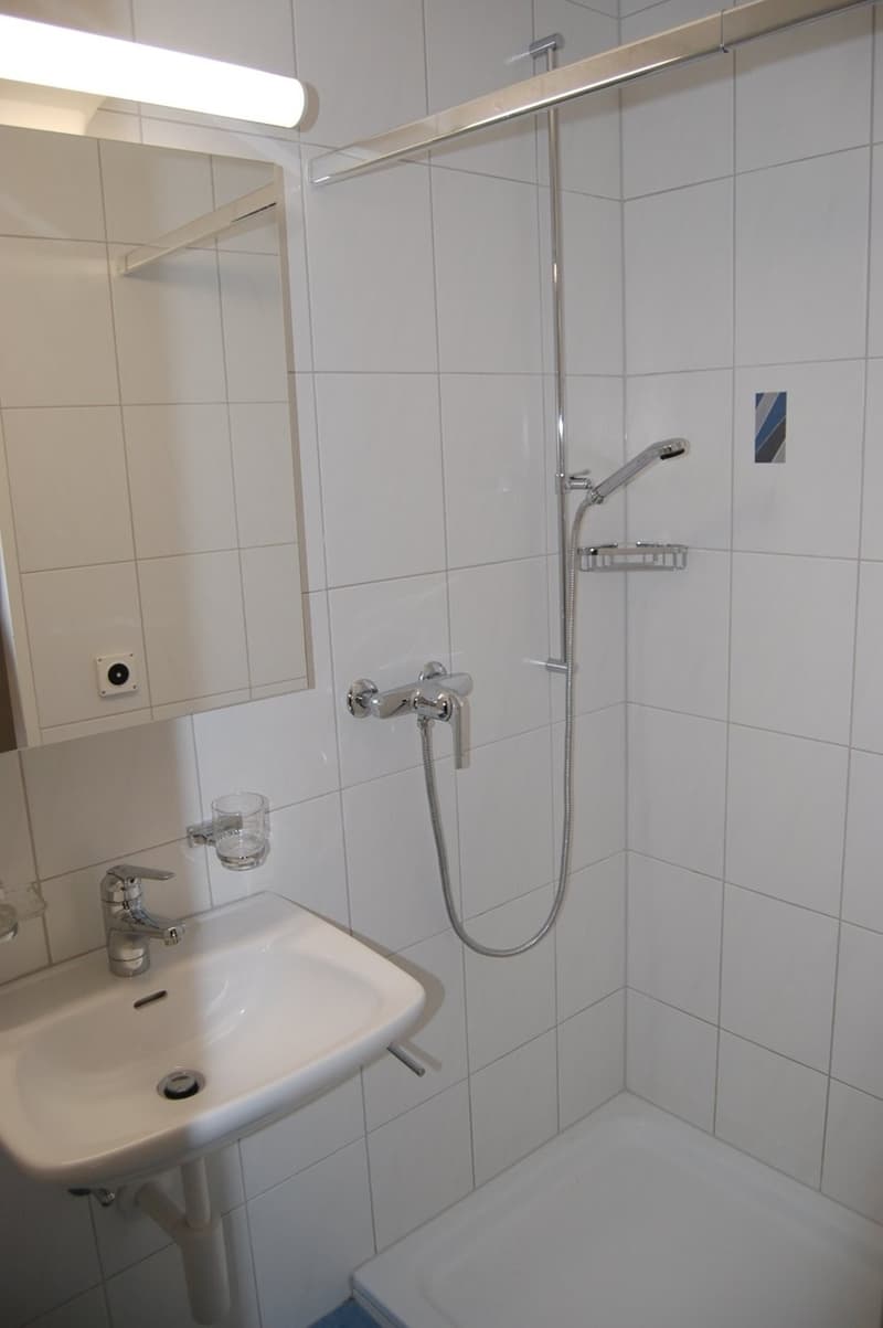 Schöne 4 Zimmerwohnung an exklusiver Lage befristet für zwei Jahre (4)