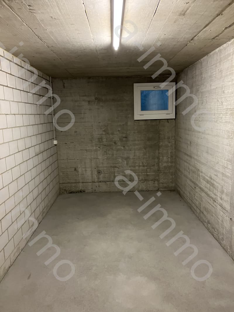 Disporaum / Hobbyraum / Bastelraum in Reinach zu vermieten (1)