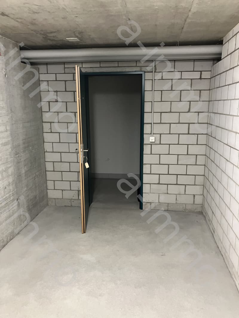 Disporaum / Hobbyraum / Bastelraum in Reinach zu vermieten (4)