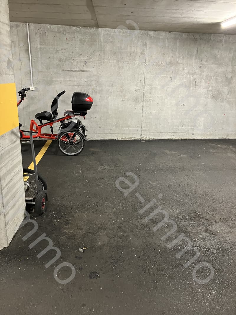 Tiefgaragenparkplatz für Kleinwagen in Reinach zu vermieten (3)