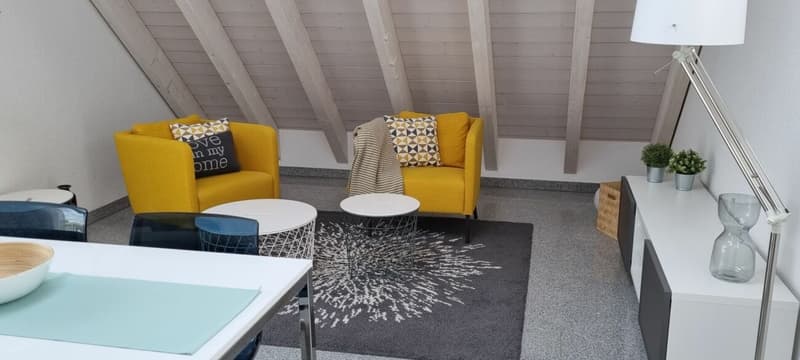 4-Zi. Dachgeschoss-Wohnung - MÖBLIERT (1)