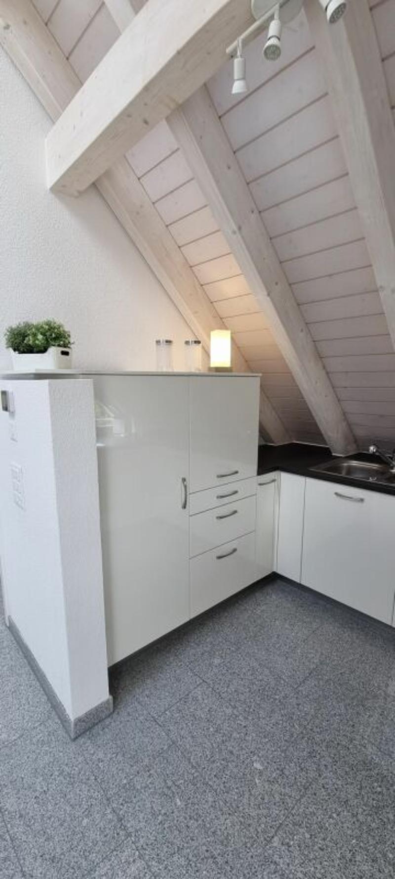 4-Zi. Dachgeschoss-Wohnung - MÖBLIERT (5)