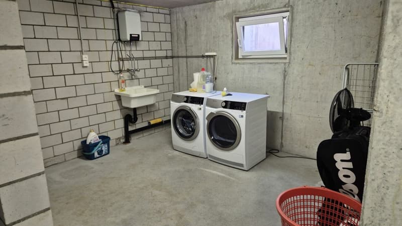 Traumhafte 4.5 Zi.-Whg. in Tennwil mit Seesicht (Gemeinde Meisterschwanden) (9)