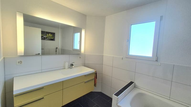 Traumhafte 4.5 Zi.-Whg. in Tennwil mit Seesicht (Gemeinde Meisterschwanden) (7)