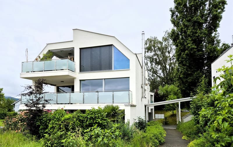 Exclusive 4 1/2-room apartment with many advantages (non-smokers preferred) (1)