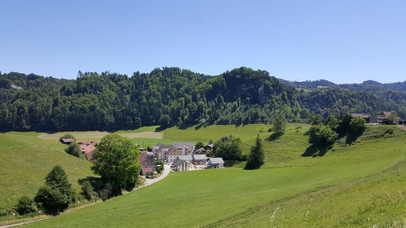 3.5 Zimmer Erdgeschoss-Wohnung in Krauchthal (1)