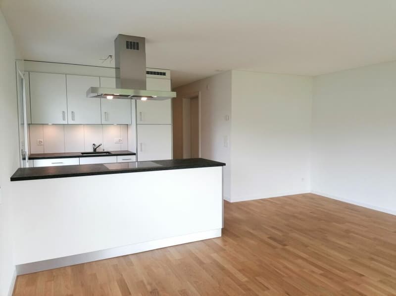 Multi-Generational House (5.5 and 2.5 Room Apartment) (5)