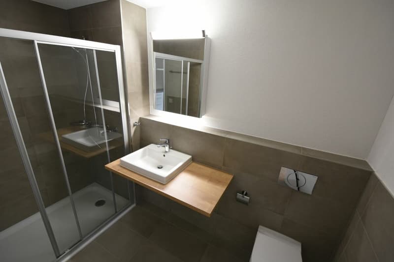 Multi-Generational House (5.5 and 2.5 Room Apartment) (6)