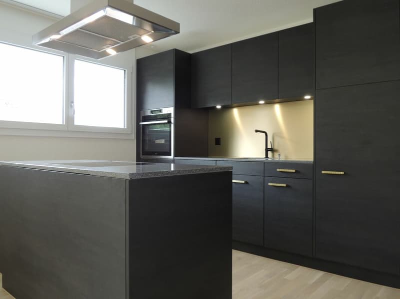 Maison à quatre familles pour investisseurs privés (4)