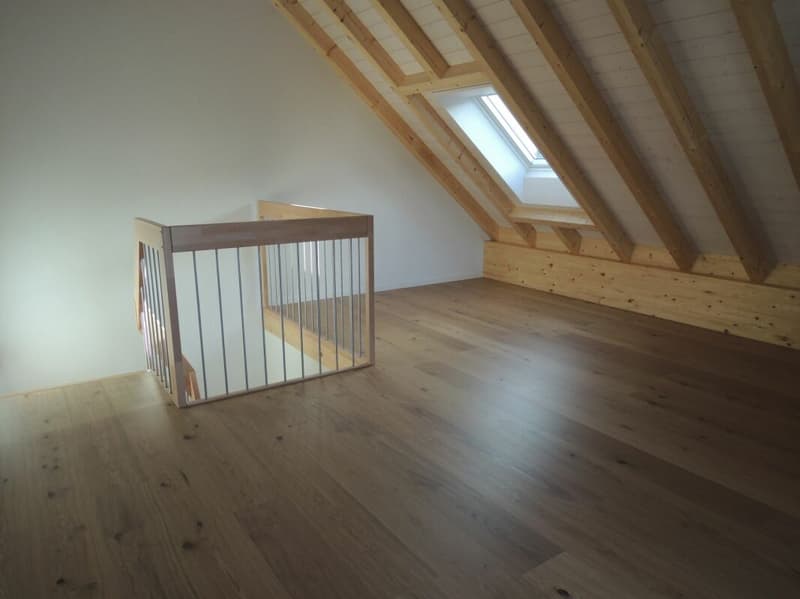 Maison à quatre familles pour investisseurs privés (6)