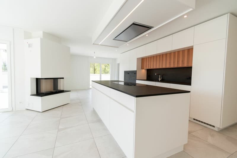 Spacious attic apartment in Langnau (1)
