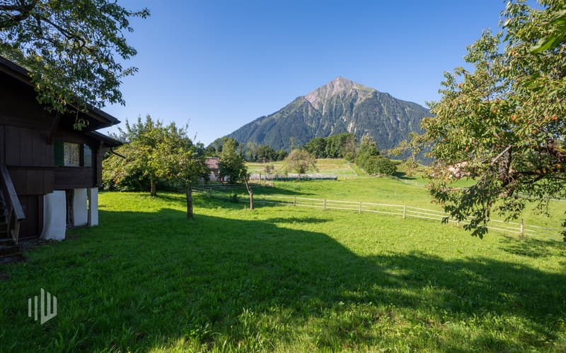 Aussenbereich mit Sicht auf den markanten Niesen