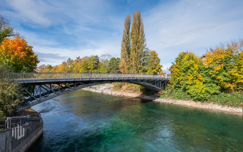 Erholsames Naherholungsgebiet für Spaziergänge an der Aare...