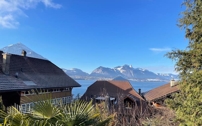 ImmoWyss - Living between garden idyll and lake shore on Lake Thun (10)