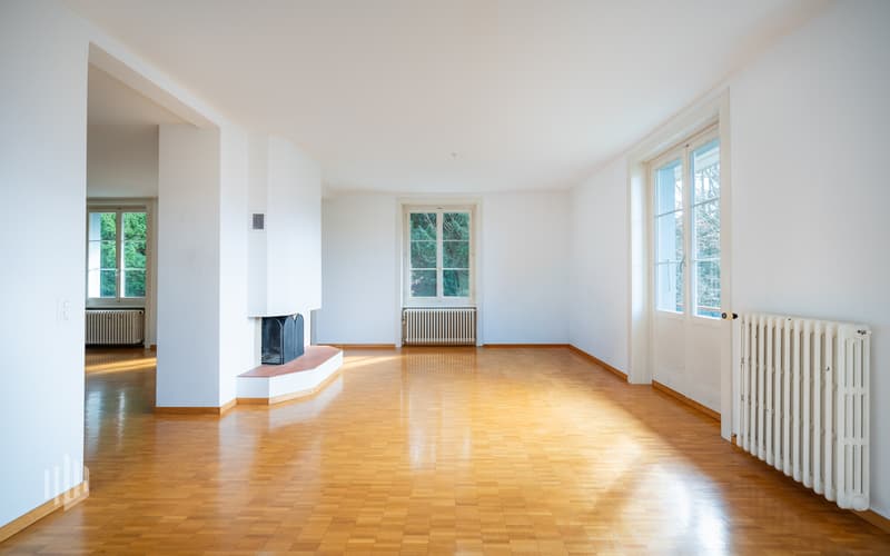 Wohnbereich mit Cheminée