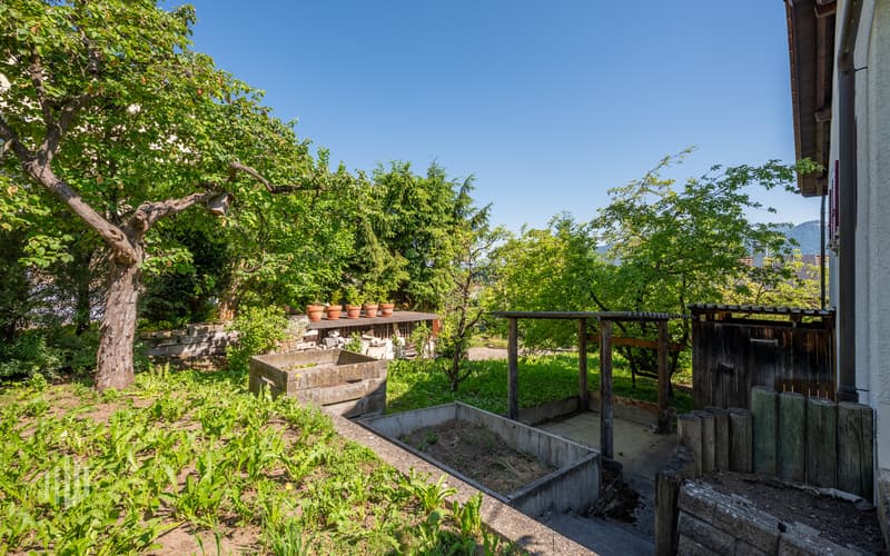 Gartenbereich hinter dem Haus