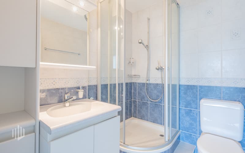 Bad mit Dusche und Toilette