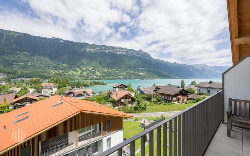 Traumaussicht auf den Brienzersee