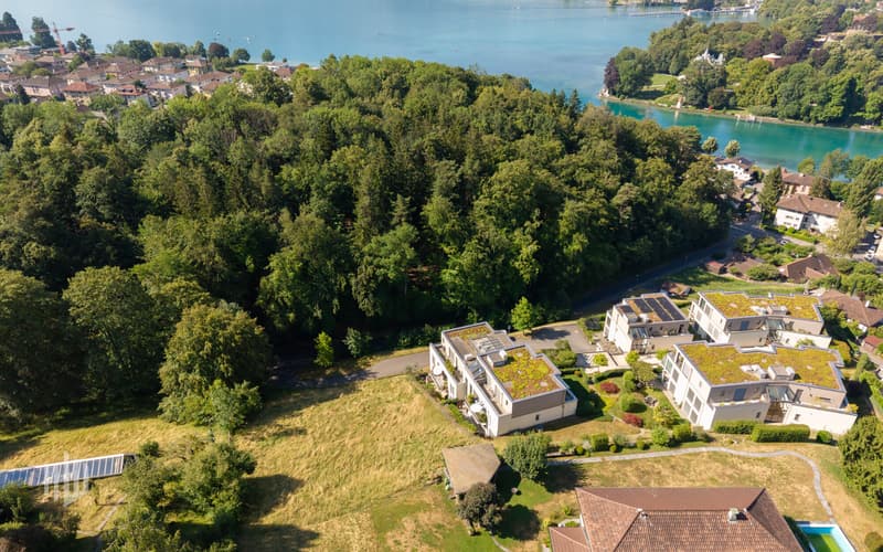 ImmoWyss -  Attraktive Bauparzelle mit 1966 m2 an bevorzugter Wohnlage (7)