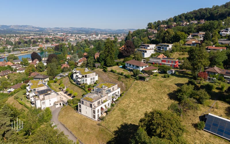 ImmoWyss -  Attraktive Bauparzelle mit 1966 m2 an bevorzugter Wohnlage (3)
