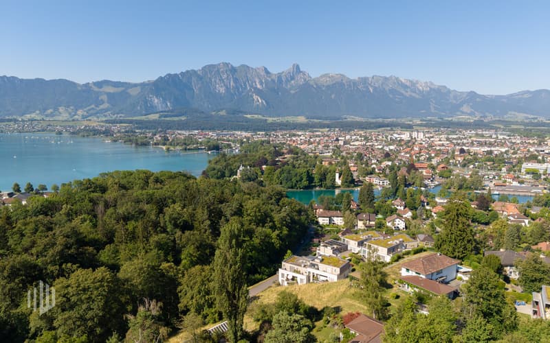 ImmoWyss -  Attraktive Bauparzelle mit 1966 m2 an bevorzugter Wohnlage (2)