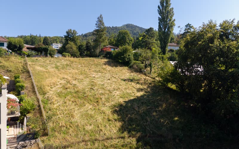 ImmoWyss -  Attraktive Bauparzelle mit 1966 m2 an bevorzugter Wohnlage (6)
