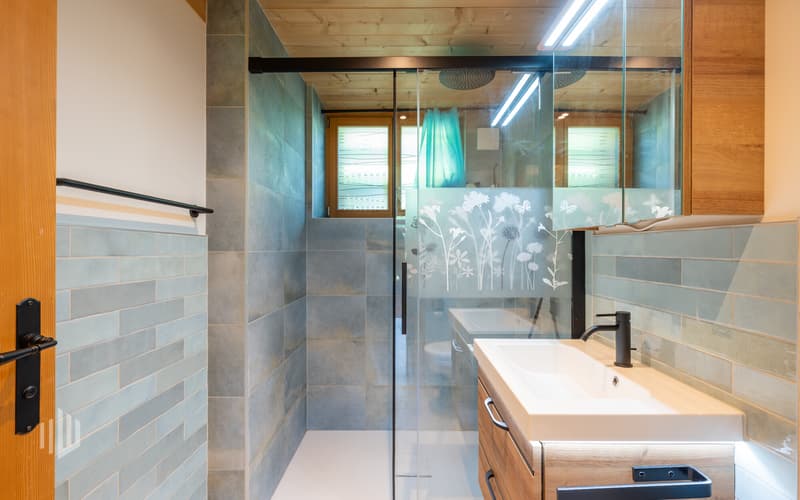 Badezimmer mit Dusche und WC im 1. Obergeschoss