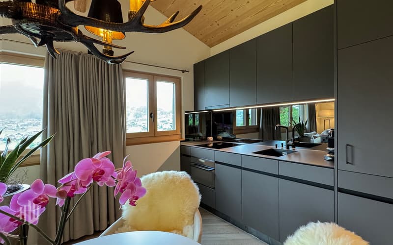 Küche mit Backofen, Induktionskochherd, Geschirrspühlmaschine