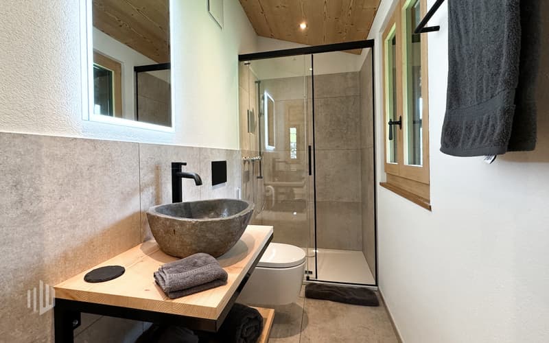 Badezimmer mit Schiebetüre, Dusche, Dusch-WC