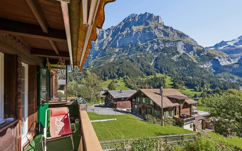 Erdgeschoss Ost Sicht vom Balkon auf den Mettenberg