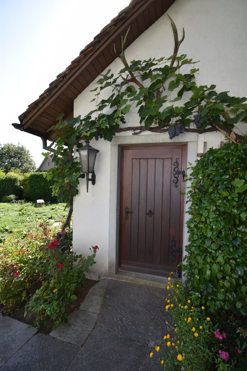 LANDHAUS  MIT   VIEL  PRIVATSPHÄRE (7)