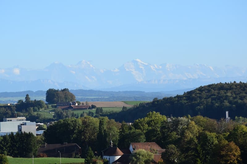 LANDHAUS  MIT   VIEL  PRIVATSPHÄRE (17)