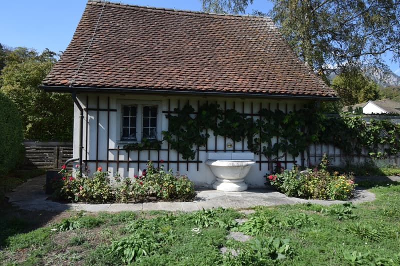 LANDHAUS  MIT   VIEL  PRIVATSPHÄRE (8)