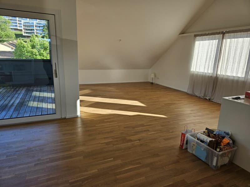 Modern 3.5-room apartment in St. Gallen (6)