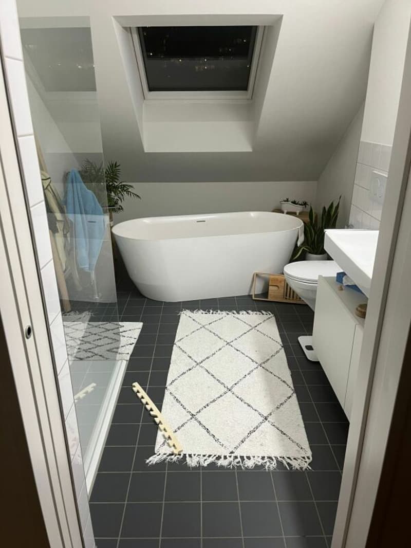 Modern 3.5-room apartment in St. Gallen (3)