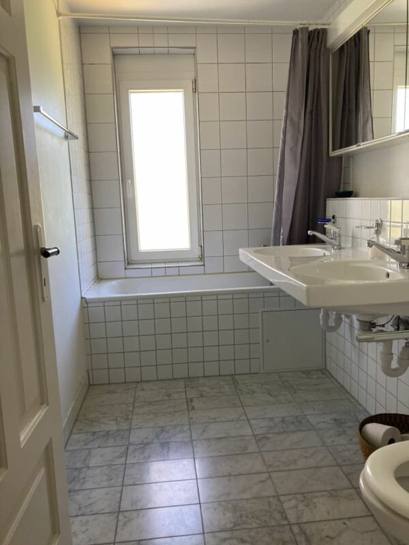 Attractive old building apartment in a quiet location (5)