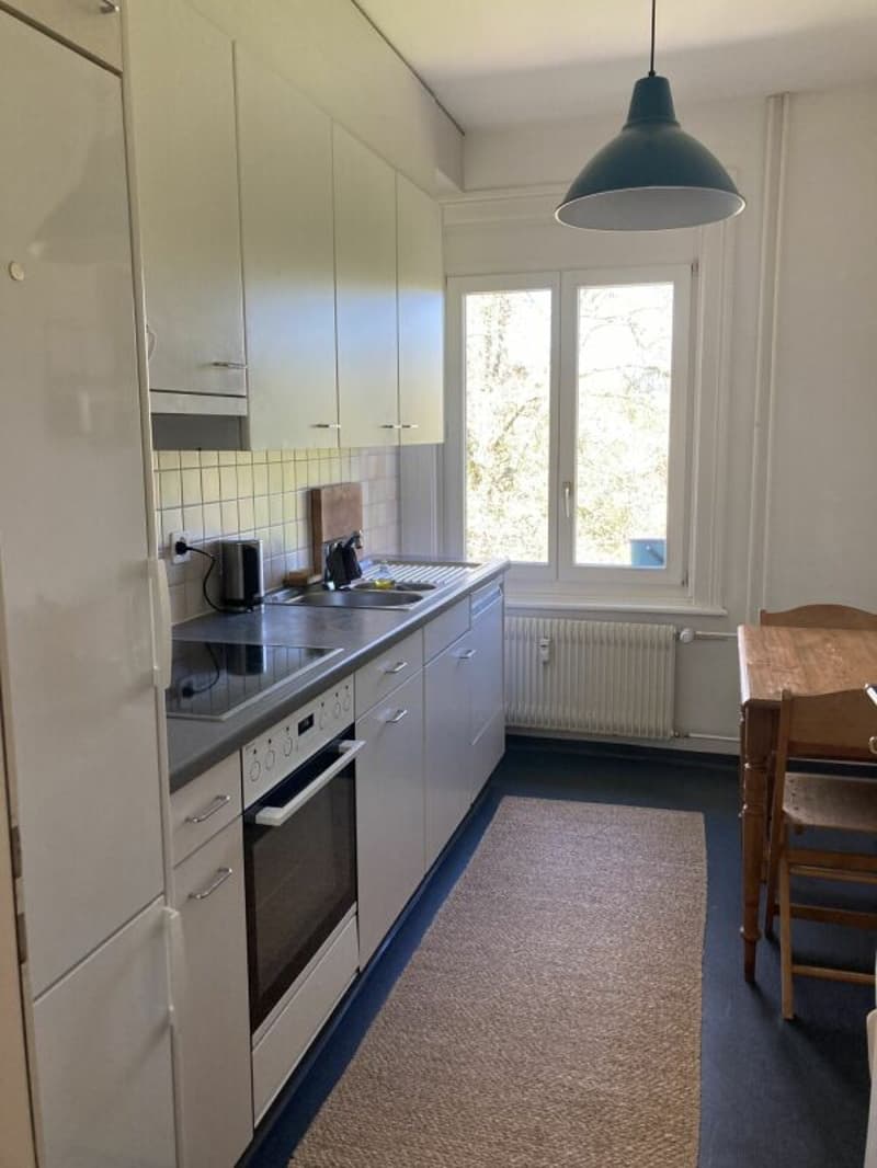 Attractive old building apartment in a quiet location (3)