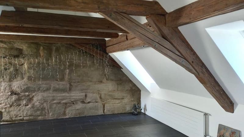 Unique living in a historic building (Schloss Sulzberg) in an idyllic location (3)
