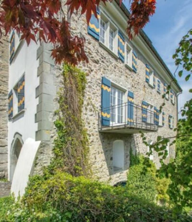 Unique living in a historic building (Schloss Sulzberg) in an idyllic location (8)