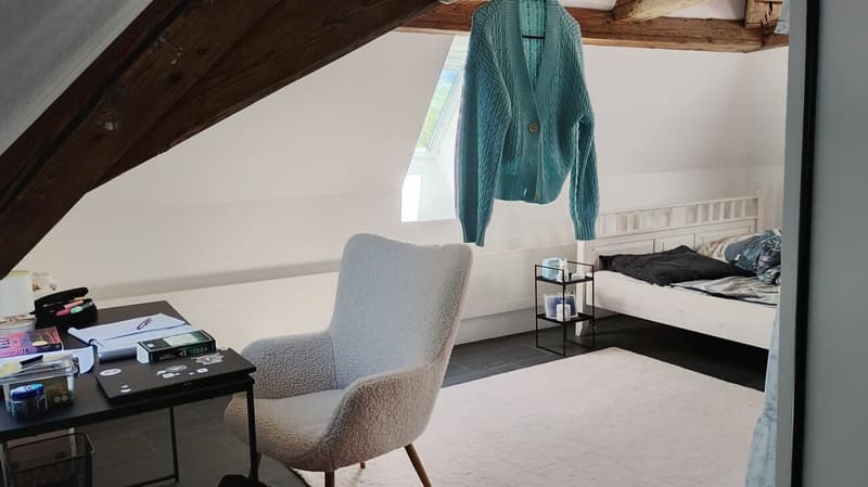 Unique living in a historic building (Schloss Sulzberg) in an idyllic location (4)