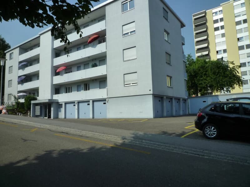 Charmant appartement 4 pièces avec salle de bain et cuisine neuves (1)